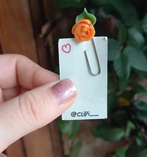 clip rosa naranja