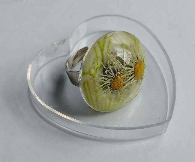 ANILLO/ Papel/ Margaritas silvestres silvestres
