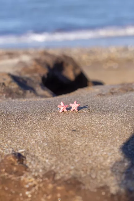 aritos de estrella de mar sobre arena