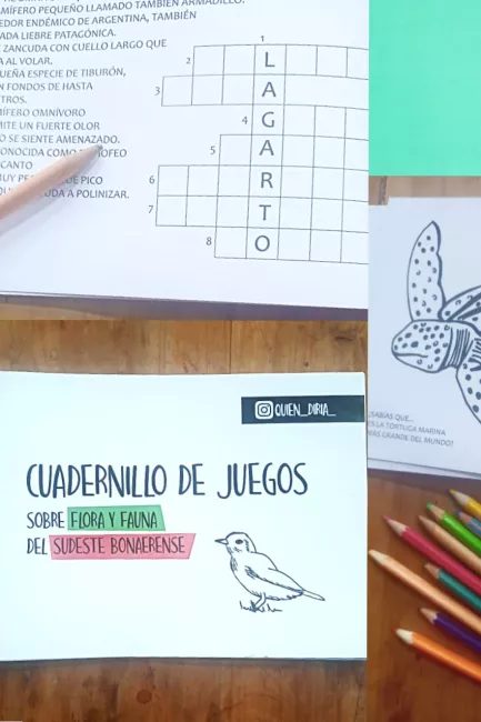 Cuadernnillo de juegos