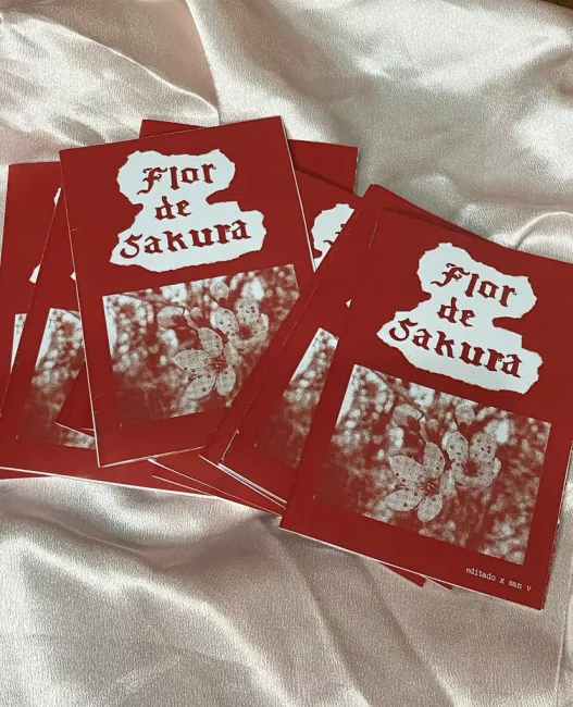 Fanzine artesanal