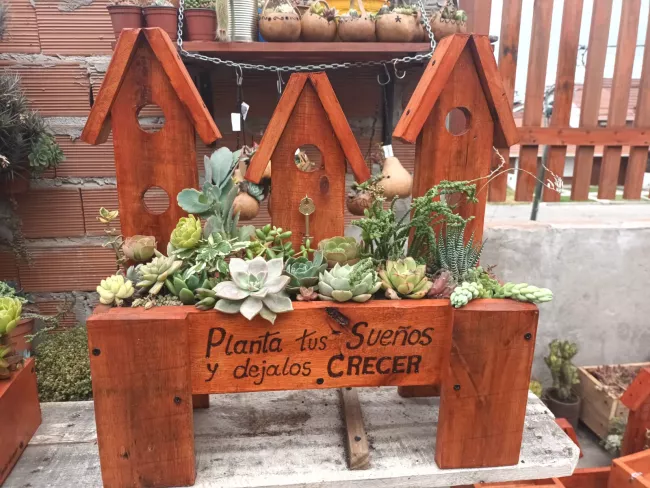 mini cantero rustico con plantas