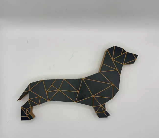 Figura Salchi